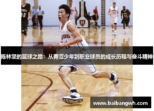 陈林坚的篮球之路：从青涩少年到职业球员的成长历程与奋斗精神